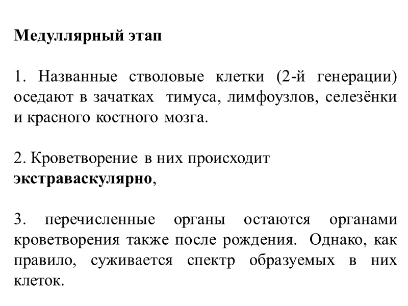 Медуллярный этап  1. Названные стволовые клетки (2-й генерации) оседают в зачатках  тимуса,